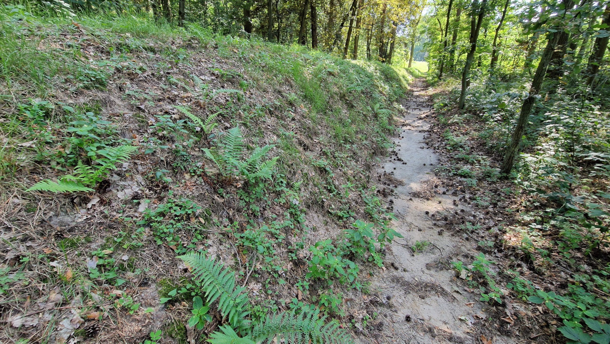 Sarnowo - Grobowiec 1