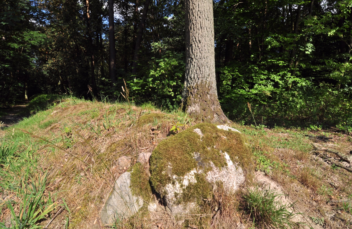 Sarnowo - Grobowiec 1