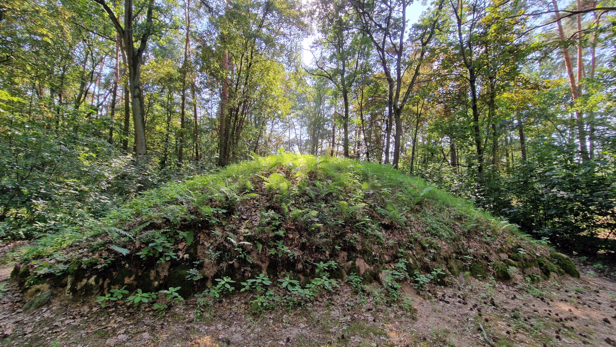 Sarnowo - Grobowiec 2