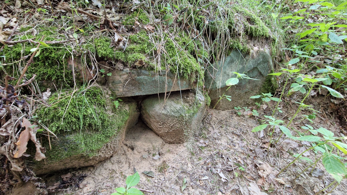 Sarnowo - Grobowiec 2