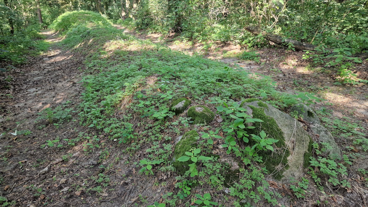 Sarnowo - Grobowiec 3