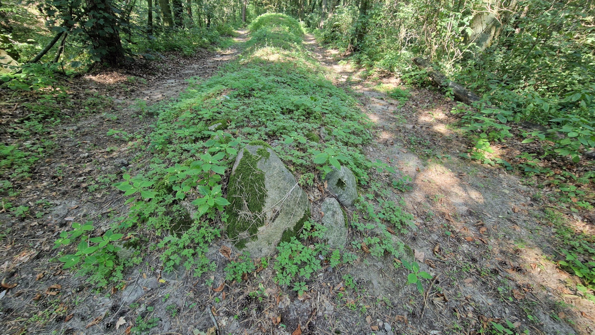 Sarnowo - Grobowiec 3