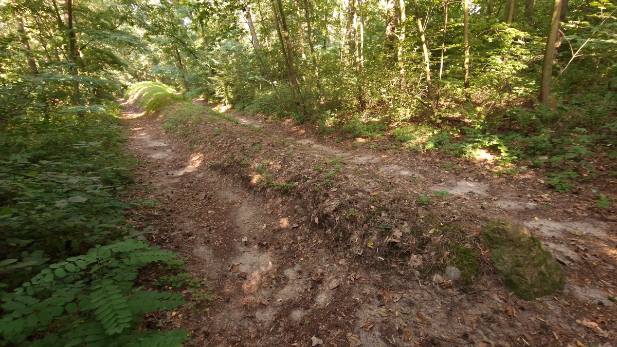 Sarnowo - Grobowiec 8