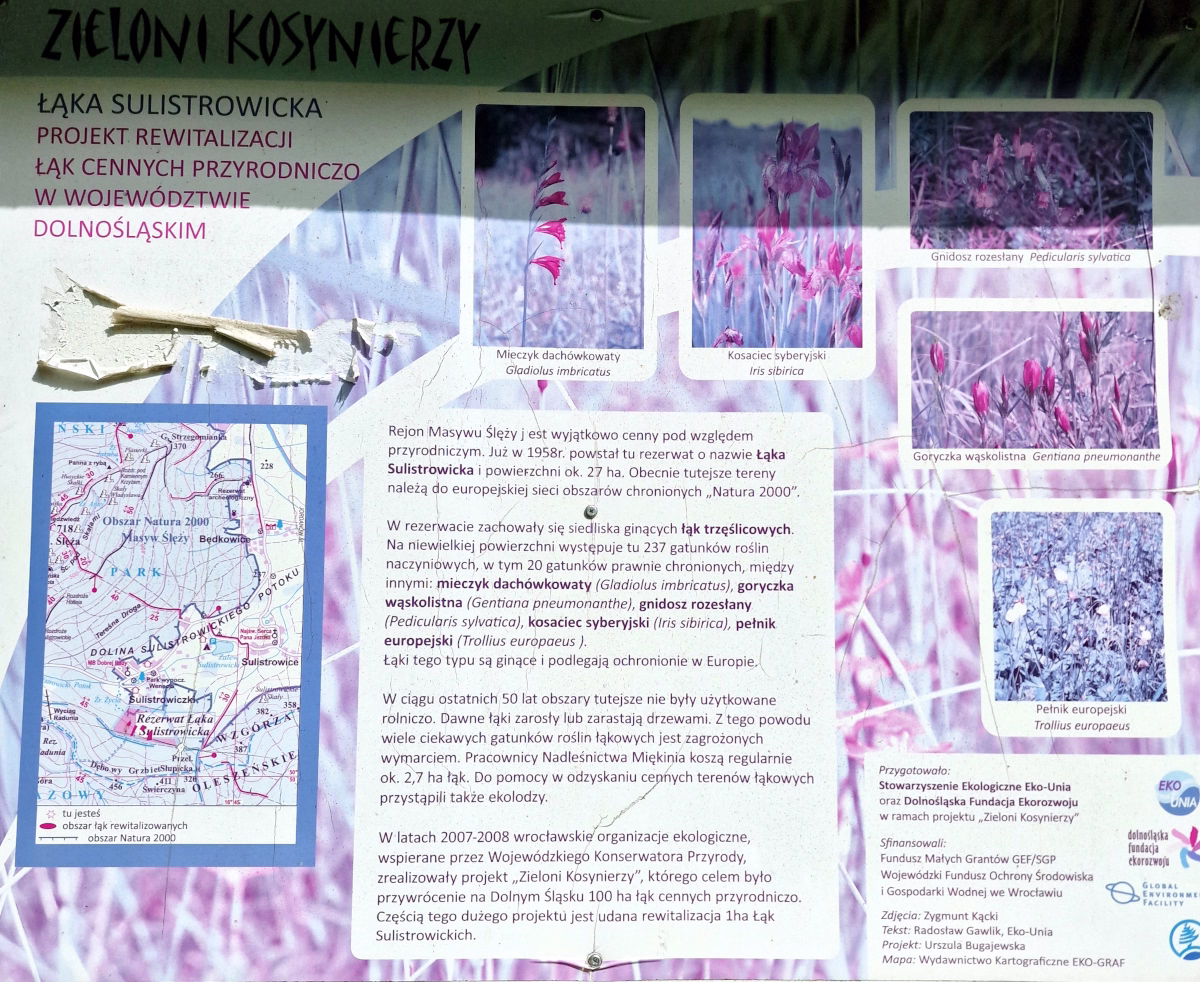 Sulistrowiczki - Tablica
