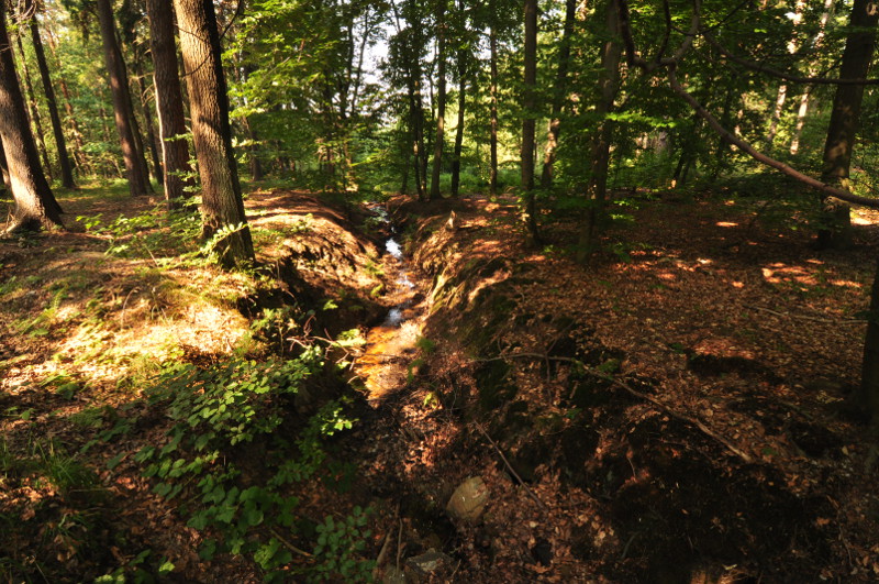 Sulistrowiczki 2015