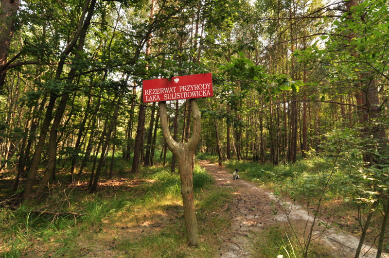 Sulistrowiczki 2015