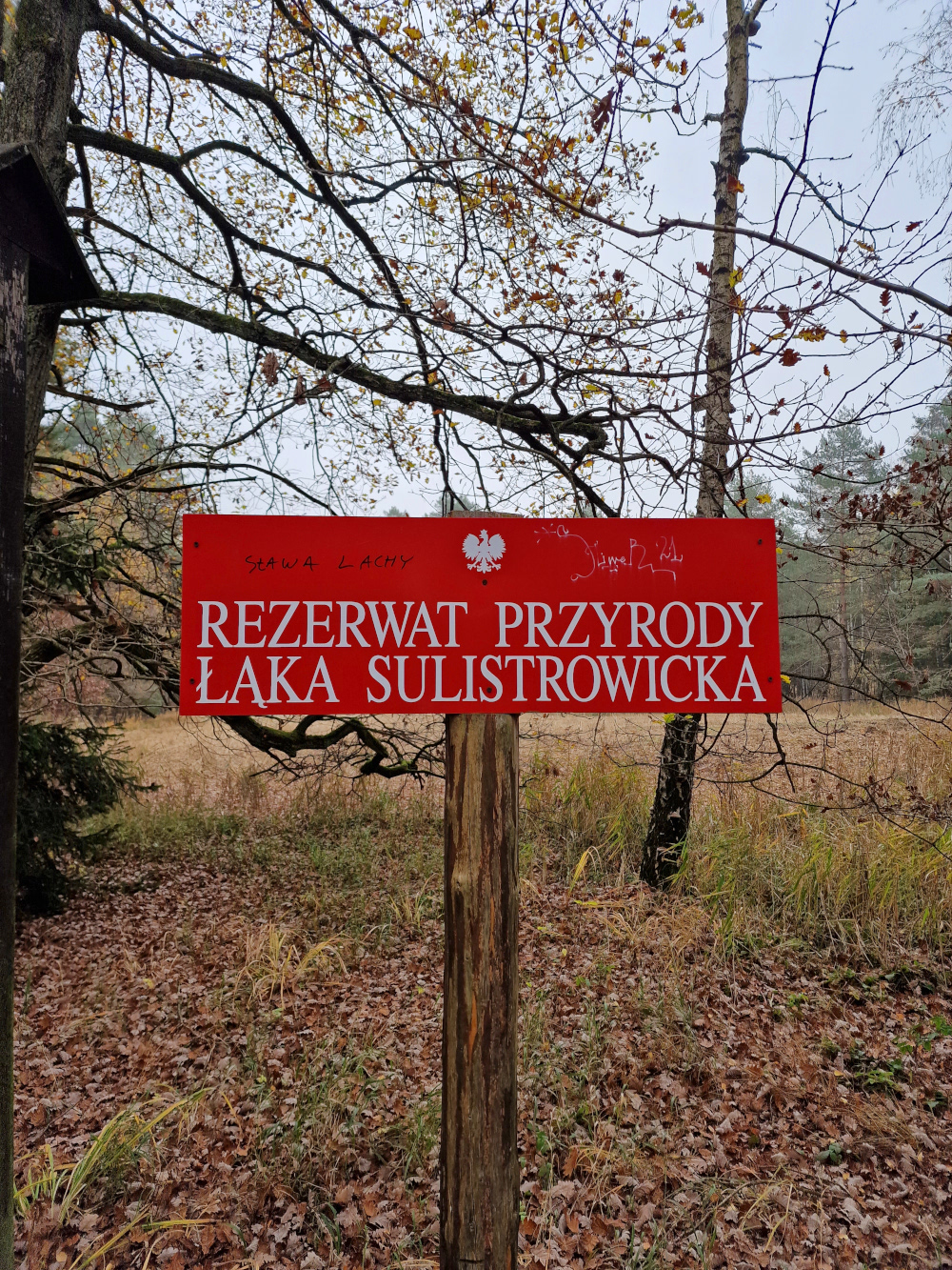 Sulistrowiczki 2022