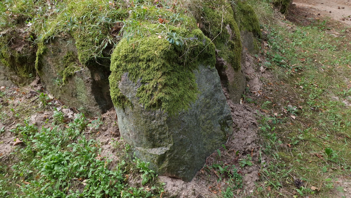 Wietrzychowice
